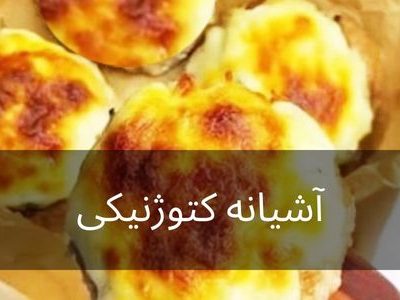 آشیانه کتوژنیکی