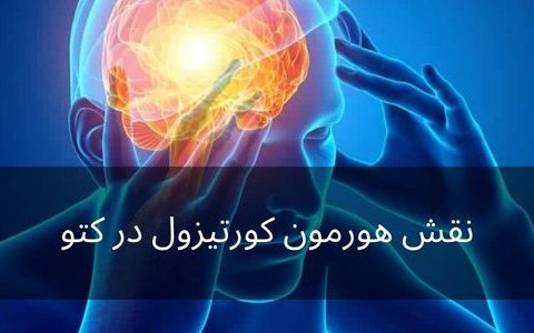 نقش کورتیزول در کتو